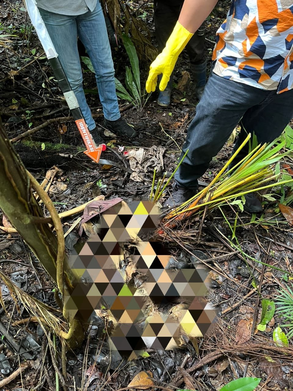 Ditemukan Mayat Tanpa Identitas Di Perkebunan Kopi Gunung Mahawu