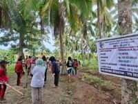Masyarakat ollot satu sedang bersama-sama mengerjakan jalan usaha tani di perkebunan tobiho.